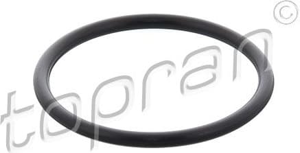 Gasket, intake manifold housing 208 313