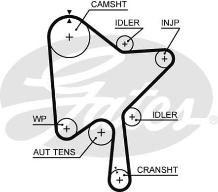 Timing Belt PowerGrip™ 5686XS