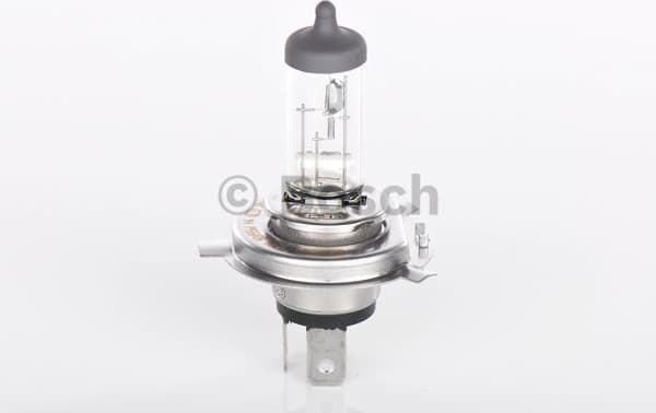 Bulb, headlight Plus 50 BL 1 987 301 040