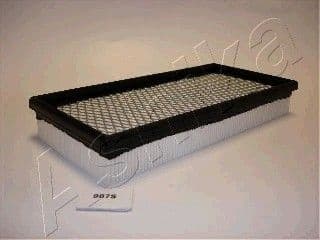 Air Filter 20-09-987