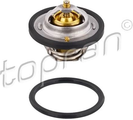 Thermostat, coolant 202 317