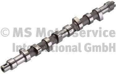 Camshaft 50006220