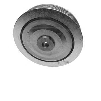 Pulley crankshaft 80000599