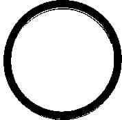 Gasket intake manifold 915.769