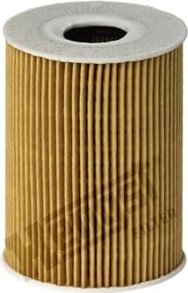 Oil Filter E113H D181