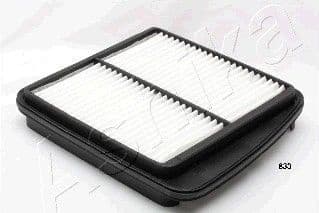 Air Filter 20-08-833