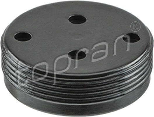 Plug, rocker arm shaft mounting bore 110 878