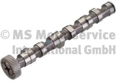 Camshaft 50006303