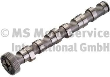 Camshaft 50006302