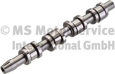 Camshaft 50006111