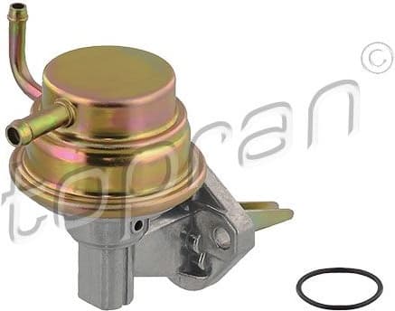 Fuel Pump 100 219