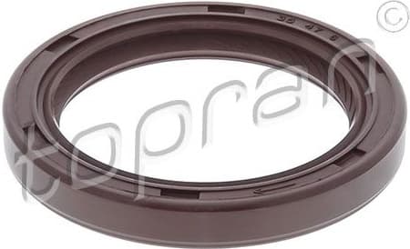 Shaft Seal, camshaft 700 477