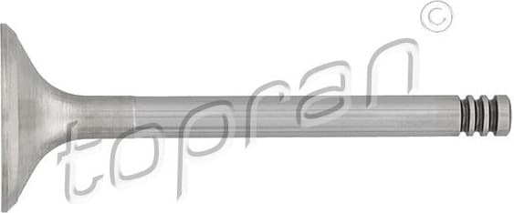 Intake Valve 205 574