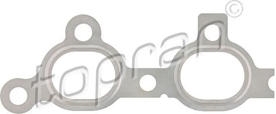 Gasket, exhaust manifold 207 599