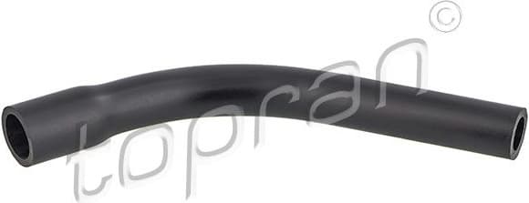 Hose, cylinder head cover ventilation 206 559