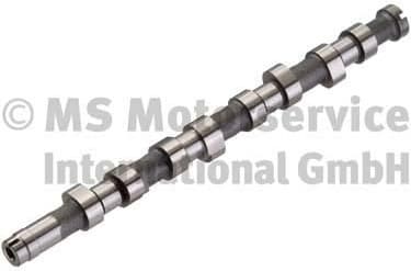 Camshaft 50006389