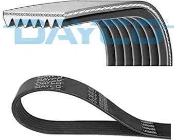 V-ribbed Belt 7PK1325