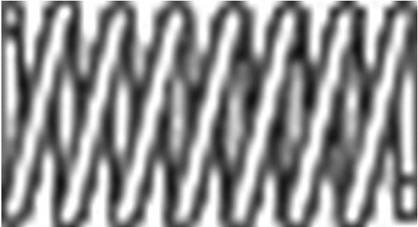 Spring, exhaust pipe 251-807