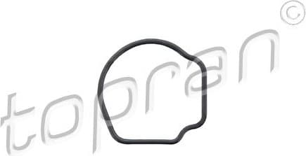 Seal, thermostat 207 486