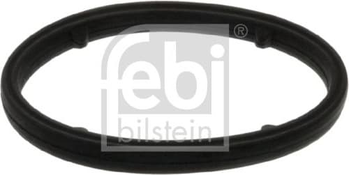 Gasket, oil cooler 101399