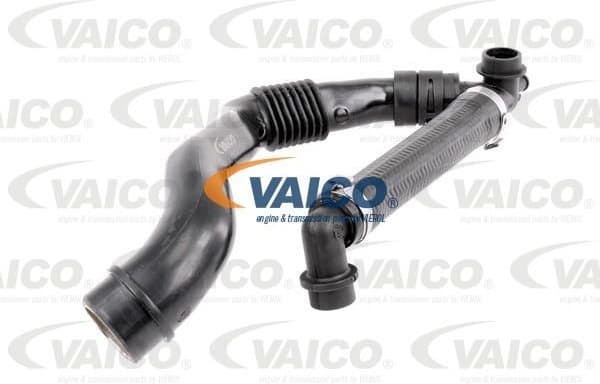 Hose, cylinder head cover ventilation Original VAICO Quality V10-0774