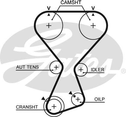 Timing Belt Kit PowerGrip™ K01T313 - image 2