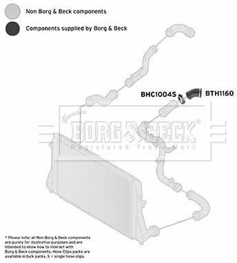 Charge Air Hose BTH1160