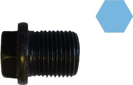 Screw Plug, oil sump 220085H