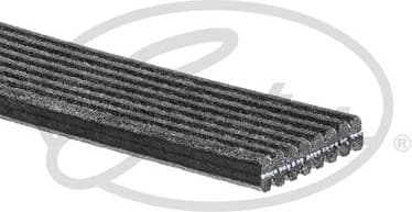 V-ribbed Belt Micro-V® 8DPK1445 - image 2