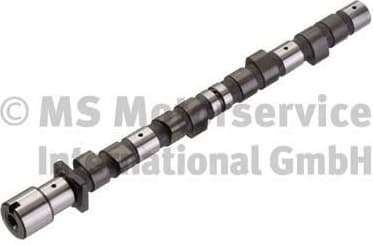 Camshaft 50006235