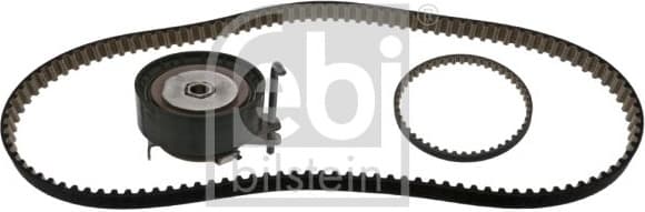 Timing Belt Kit 100330
