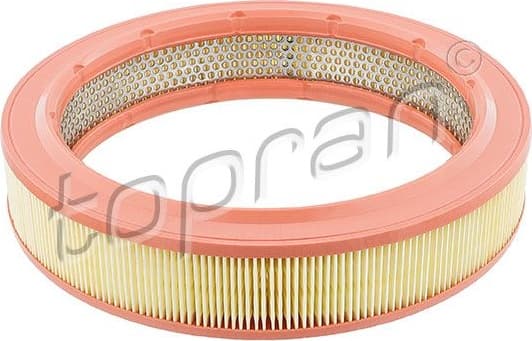Air Filter 100 619