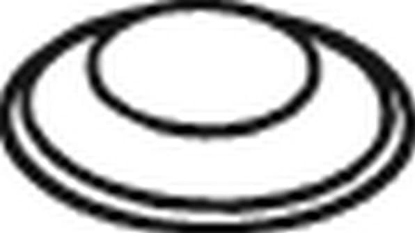 Gasket, exhaust pipe 256-049