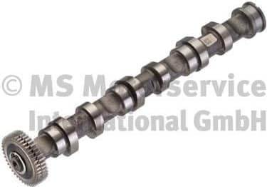 Camshaft 50007008