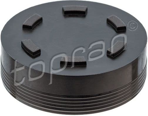 Plug, rocker arm shaft mounting bore 111 247