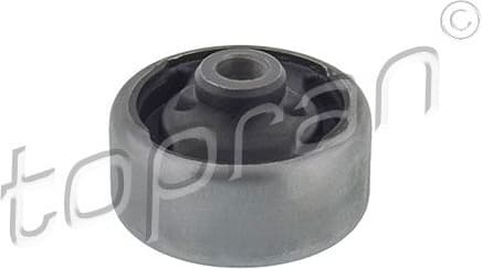 Mounting, control/trailing arm 300 038