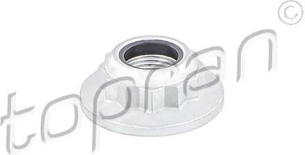 Nut, kingpin 111 315