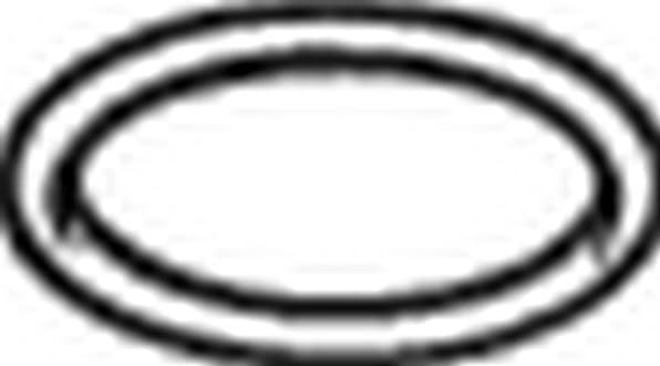 Gasket, exhaust pipe 256-215