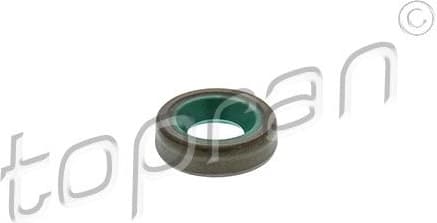 Shaft Seal, drive shaft 100 081