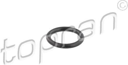 Seal Ring, injector 109 640