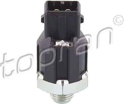 Knock Sensor 207 825
