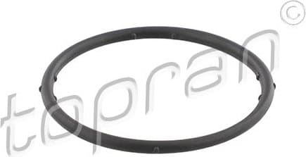 Gasket, coolant flange 100 722
