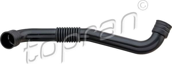 Hose, cylinder head cover ventilation 114 206