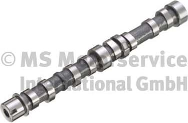 Camshaft 50007572