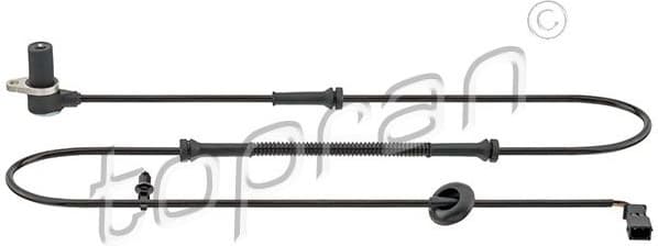 Sensor, wheel speed 115 251