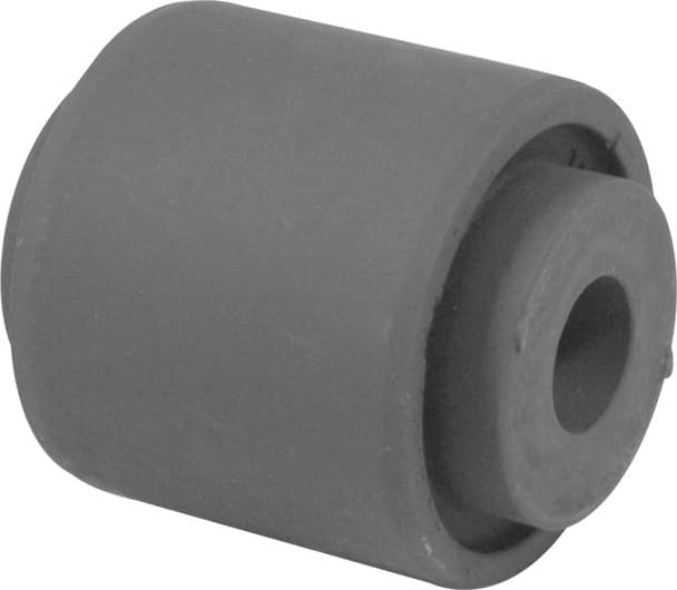 Mounting, control/trailing arm TED16966