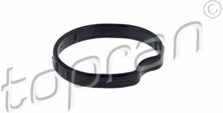 Gasket, thermostat housing 304 786