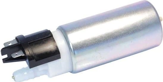 Fuel Pump 313011300120