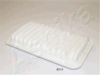 Air Filter 20-08-817