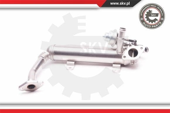 EGR Valve 14SKV118
